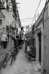 _DSC1851