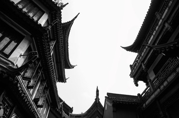 _DSC1897