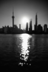 _DSC1931