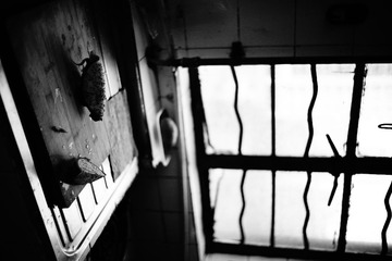 _DSC0229