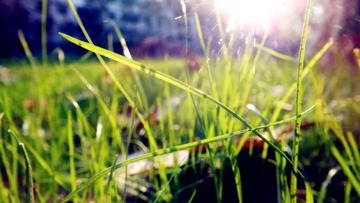 DSCF2656_副本.jpg
