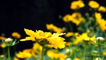 DSCF0223_ps.jpg
