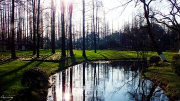DSCF3275.jpg.jpg