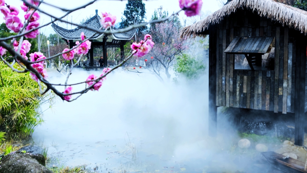 梅花园摄于温州杨府山公园