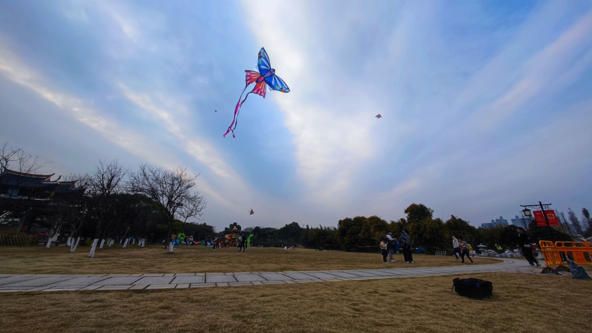 江心屿放风筝摄于温州