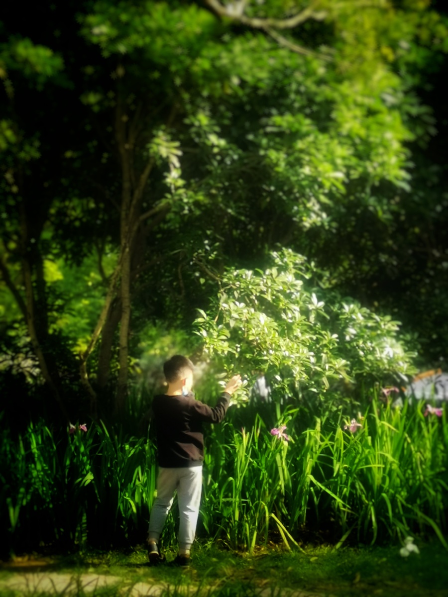 阳光下《小孩子》摄于,温州江心屿 - 三横一竖反之一样 - 图虫