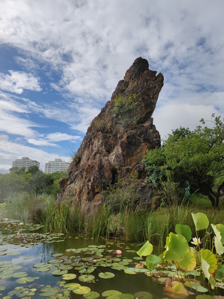杨府山风景摄于温州杨府山