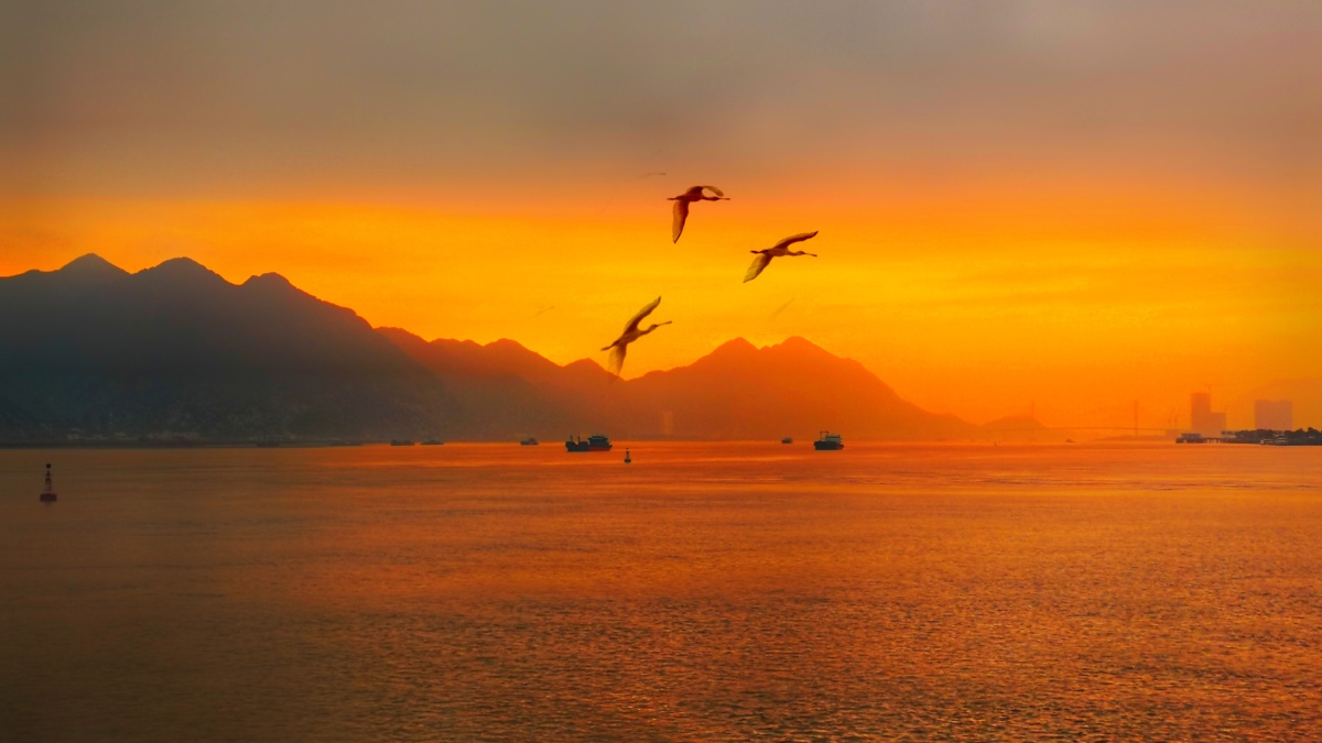 瓯越风景八百里瓯江摄于温州市鹿城区