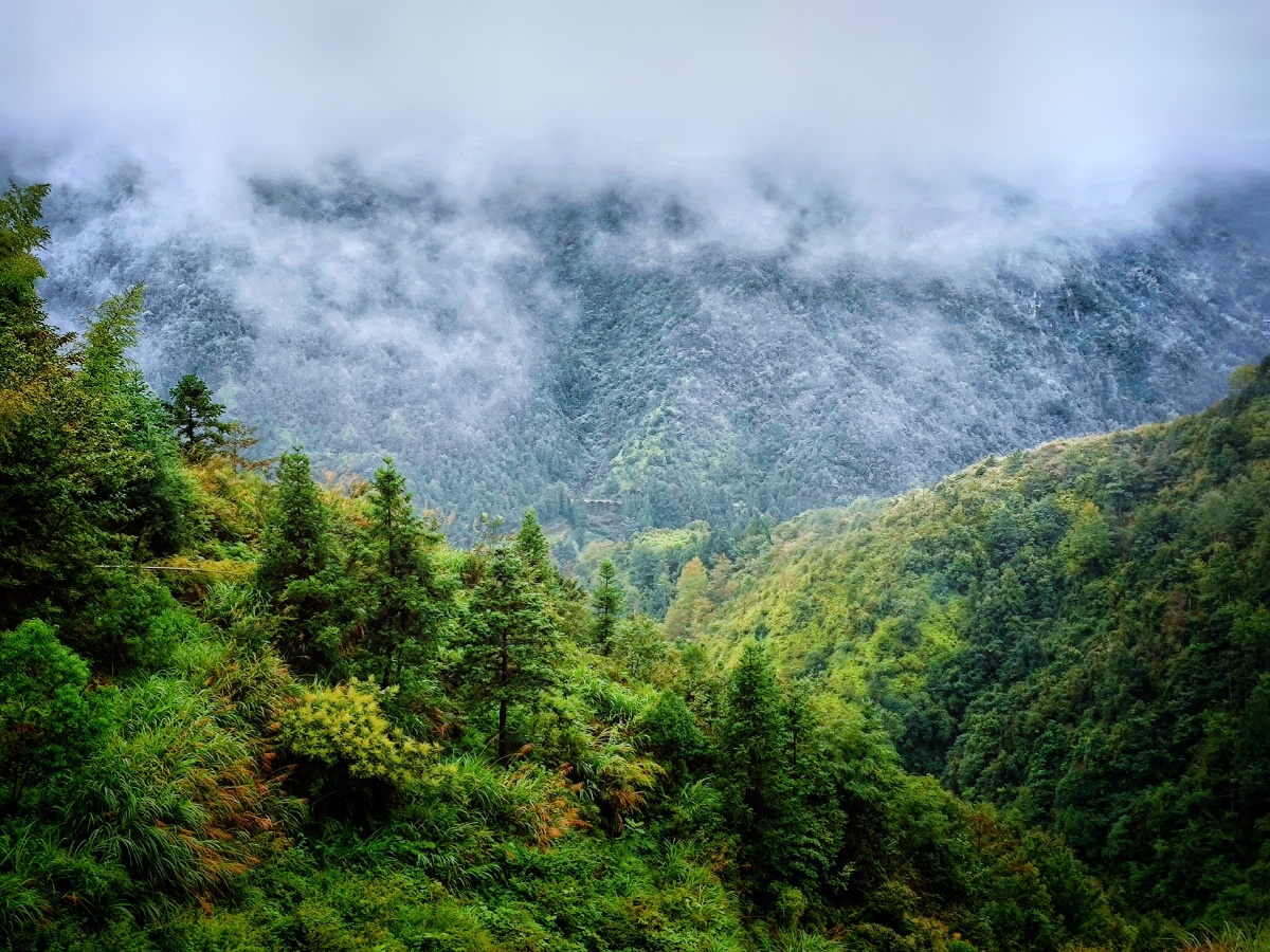 云雾缭绕摄于温州云岭