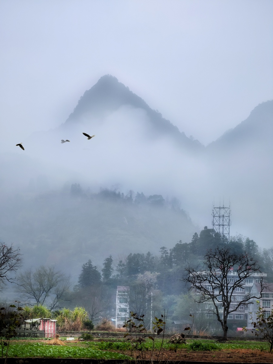 山水画云雾缭绕摄于温州永嘉上塆村
