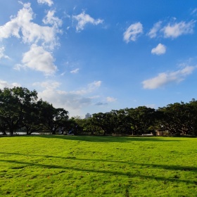 三横一竖反之一样标为2021夏天摄影大赛的图博 - 三横一竖反之一样