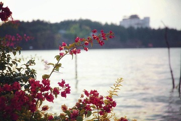 IMG_0855_副本.jpg