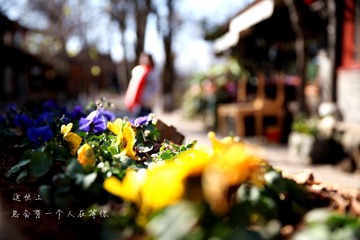 IMG_1464_副本.jpg