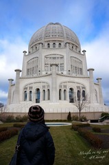 Menglu@Chicago 4.jpg