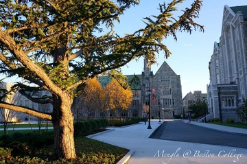 Menglu@BostonCollege 4.jpg