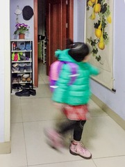 要上学的小豆包