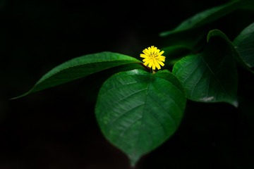 569260