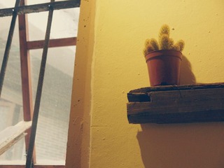 P1040012_副本.jpg
