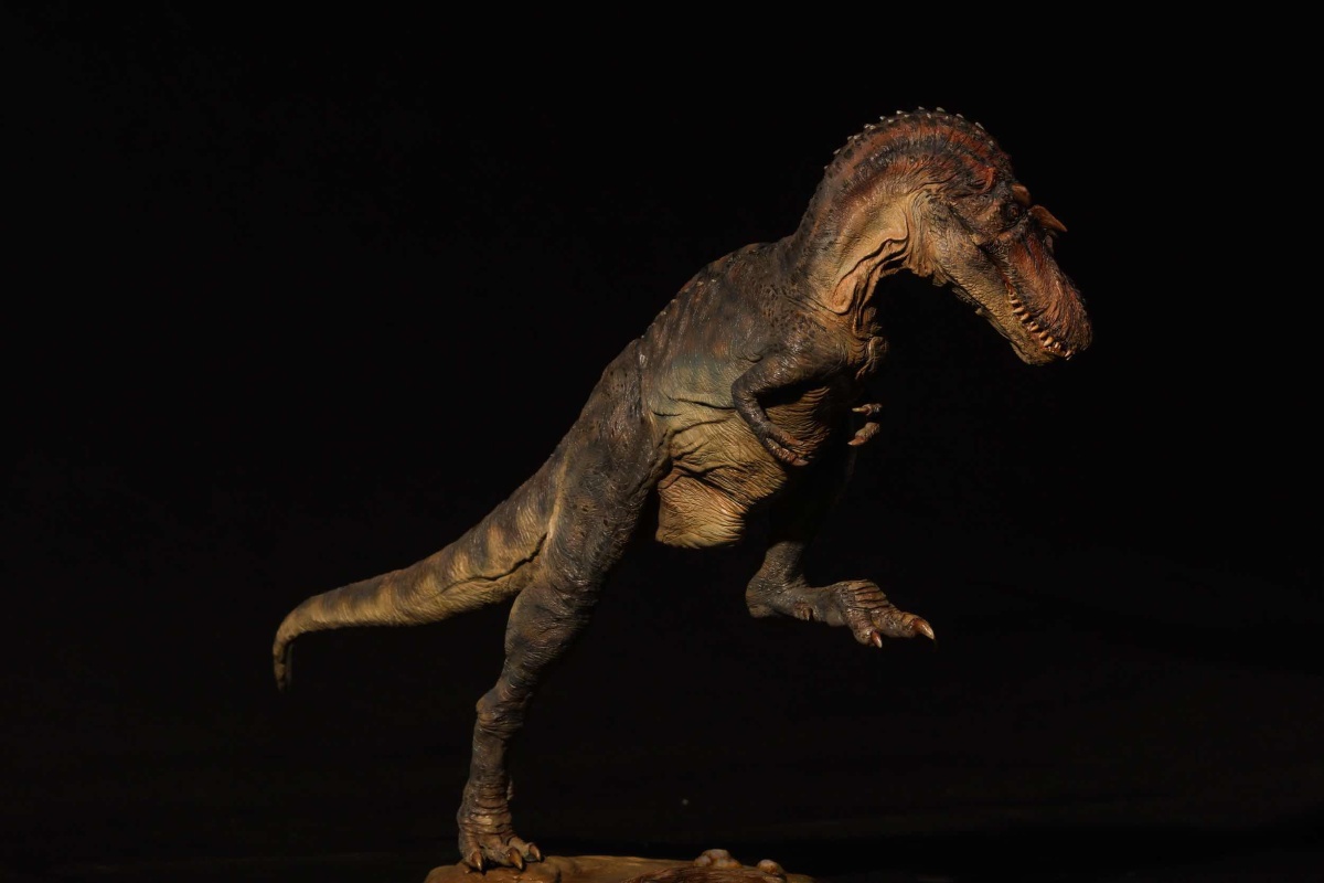 戈尔岗龙蛇发女怪龙大战恐鳄