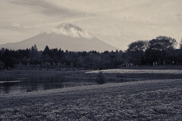 DSC06728 1