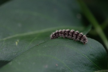DSCF0128