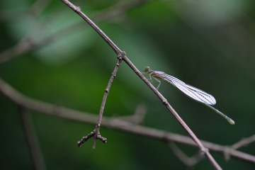 DSCF0022