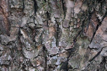 DSCF0039