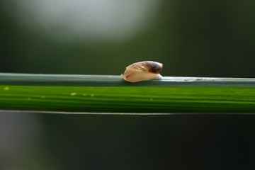 DSCF0060