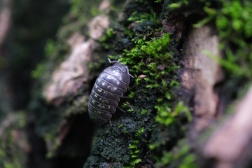 DSCF0033