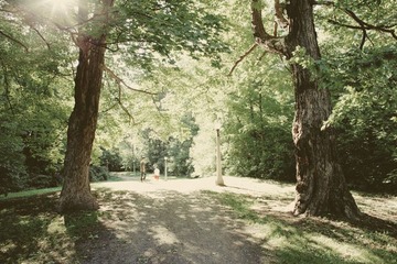 summer