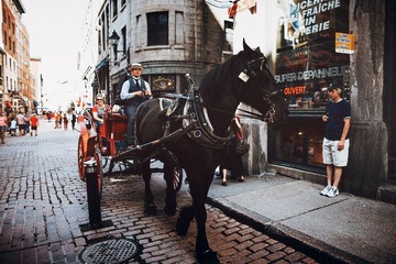 IMG_9941_1