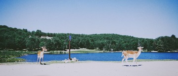 IMG_9920_1