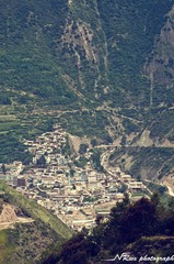 DSC_0210gai.jpg