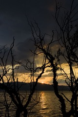 L1000714.jpg