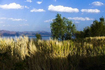 L1000807.jpg