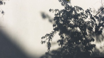 L1000808.jpg