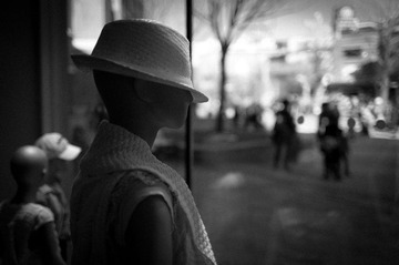 L1000987.jpg