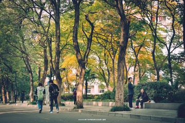 IMG_8033-1