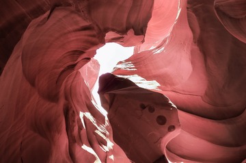 L1019648