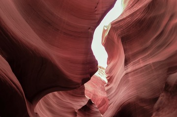 L1019729