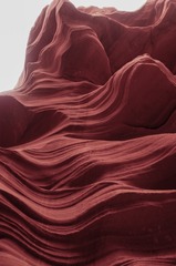 L1019816