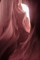 L1019797