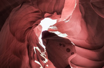L1019648