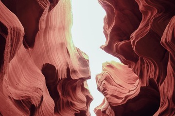 L1019813