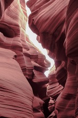L1019808