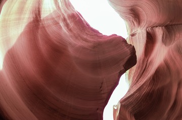 L1019730