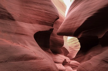 L1019731
