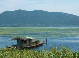 太湖湿地2.jpg