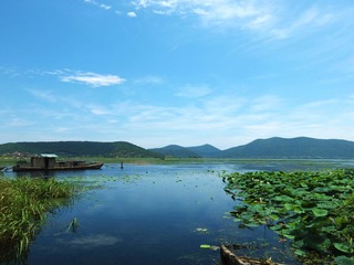 太湖湿地3.jpg
