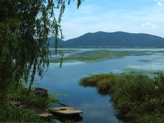 太湖湿地4.jpg